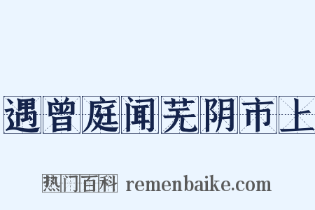 遇曾庭闻芜阴市上是什么意思的图片